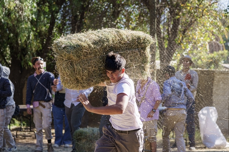 Fiesta de la Vendimia: Tradición, folclore y sana competencia