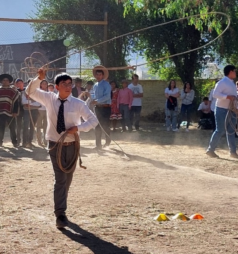 Celebraci&oacute;n de la Vendimia 2024
